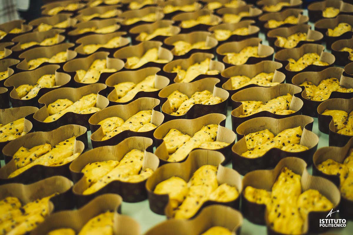 Colombe al cioccolato in lavorazione A Pasqua il dolce ha il sapore della tradizione e delle sue evoluzioni Colombe al cioccolato in lavorazione A Pasqua il dolce ha il sapore della tradizione e delle sue evoluzioni