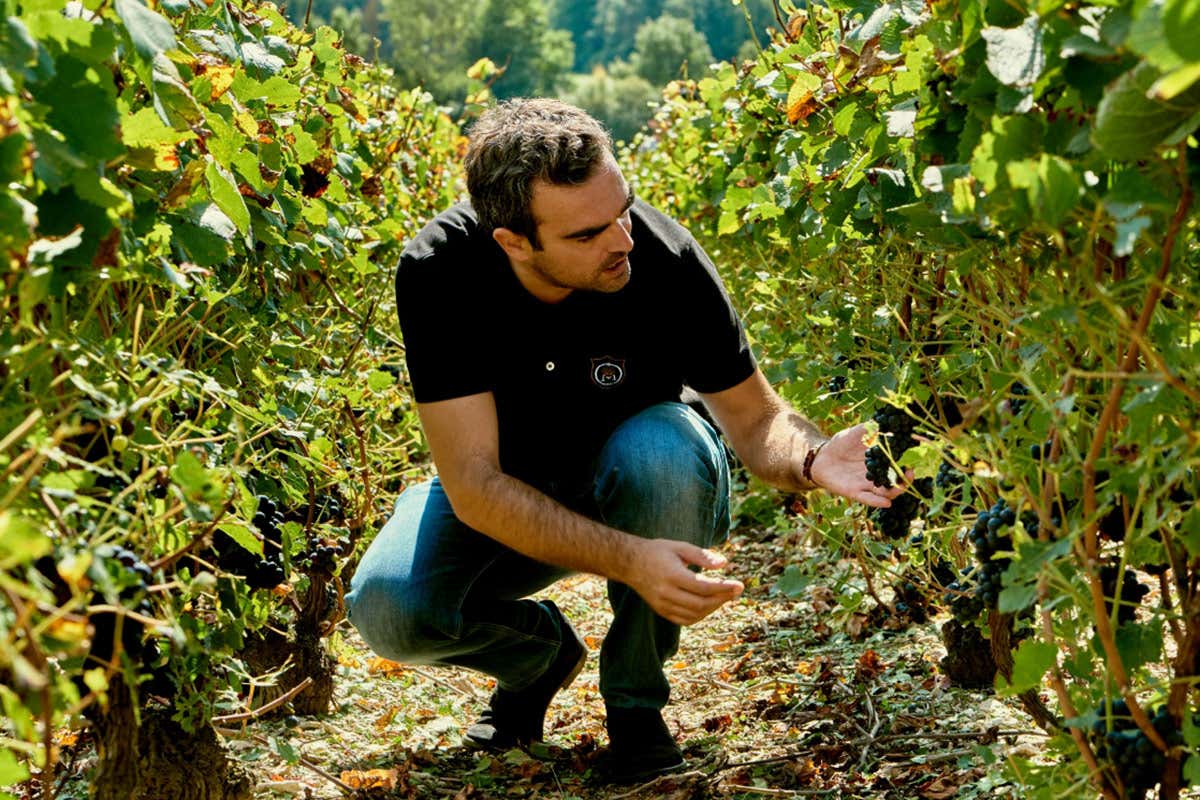 St&eacute;phane Revol Comte de Montaigne dalla parte dell&rsquo;ambiente