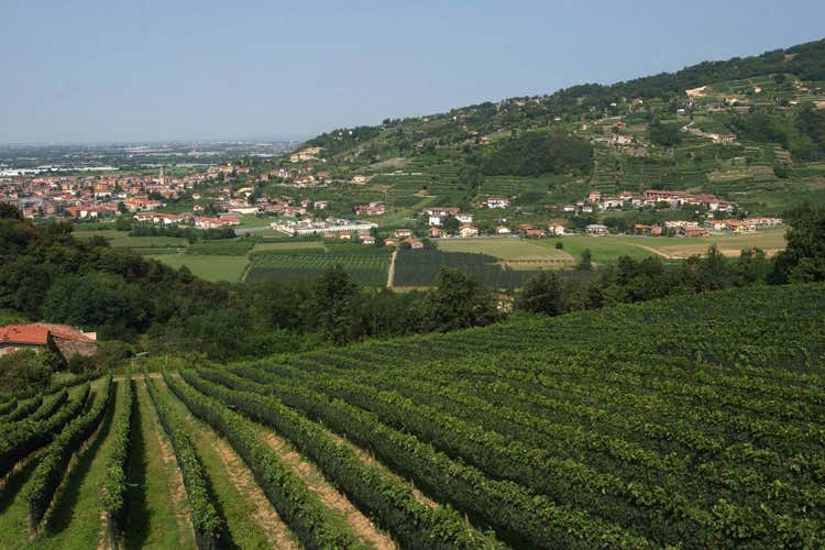 Conoscere il vino? Sì, in Valcalepio Incontri tecnici con il Consorzio Conoscere il vino? Sì, in Valcalepio Incontri tecnici con il Consorzio