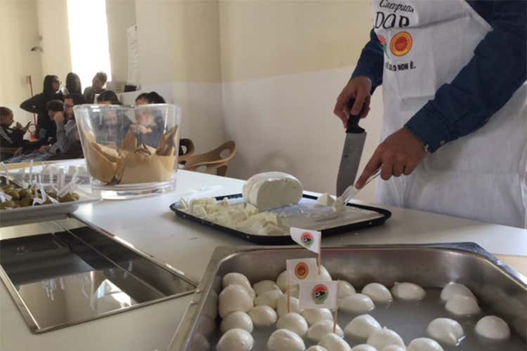Consorzio Mozzarella Bufala apre agli studenti