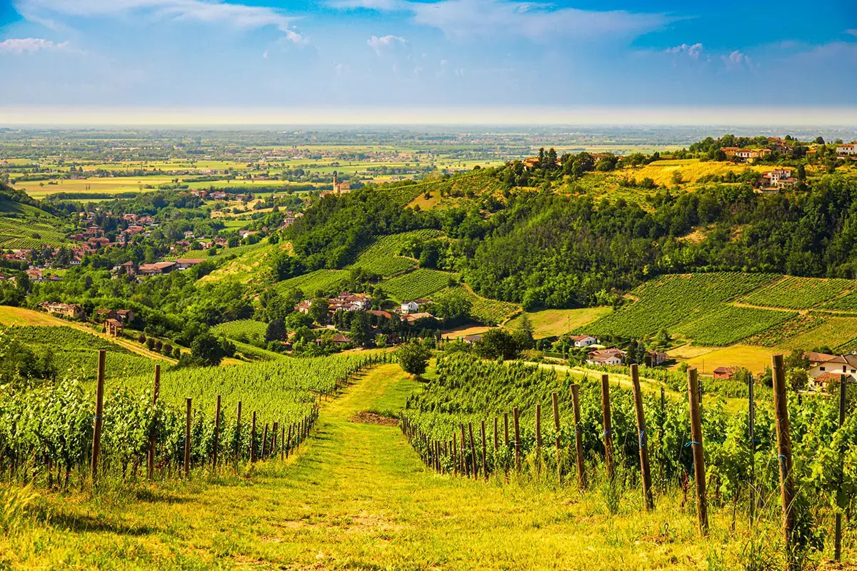 Pinot nero e non solo: Oltrep&ograve; Pavese, una terra di eccellenze tutta da scoprire