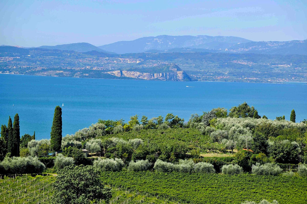 La Doc Garda è il denominatore comune di un territorio che unisce le tante zone vitivinicole che si affacciano sulle sponde del Lago “Nati per stare insieme” a Vinitaly 2023. Ascovilo e Grana Padano DOP nel nome della qualità