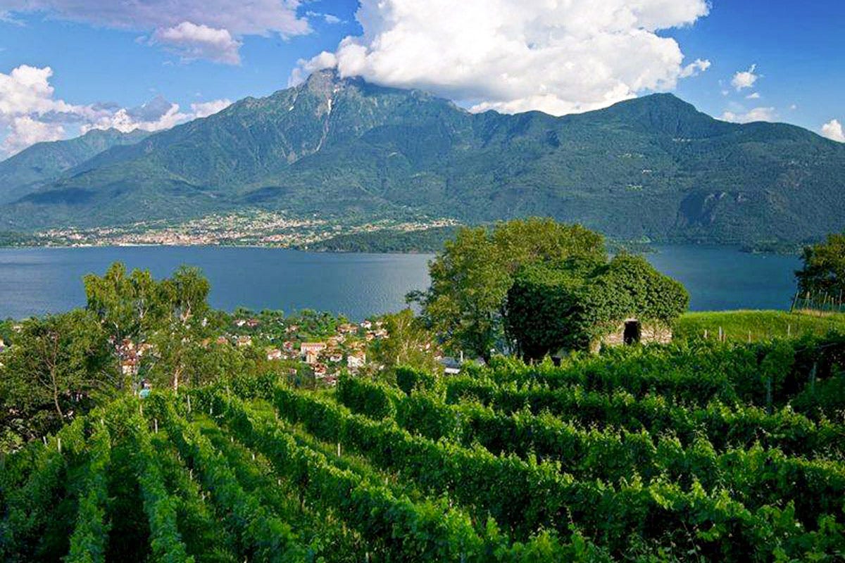 Il Consorzio Vini Igt Terre Lariane comprende il territorio collinare e di montagna nei pressi del lago di Como “Nati per stare insieme” a Vinitaly 2023. Ascovilo e Grana Padano DOP nel nome della qualità