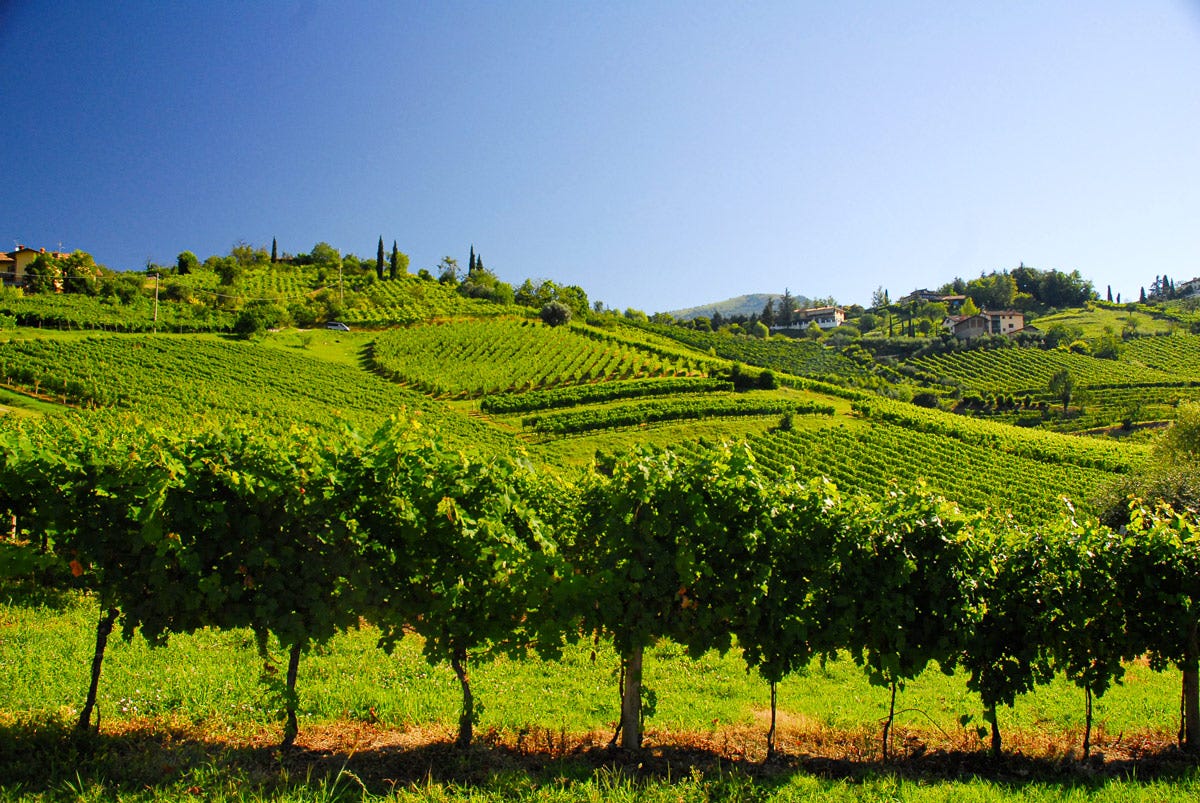 Una delle denominazioni più piccole d’Italia, solo 31 ettari nel comune di Scanzorosciate, per un vino inconfondibile “Nati per stare insieme” a Vinitaly 2023. Ascovilo e Grana Padano DOP nel nome della qualità