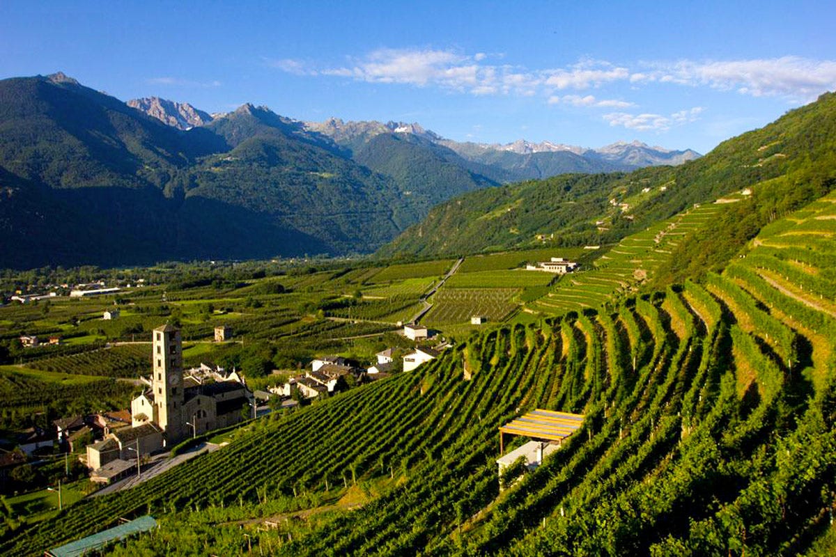 La Valtellina è una delle zone vinicole verticali più belle d’Italia, il territorio terrazzato più esteso in Italia “Nati per stare insieme” a Vinitaly 2023. Ascovilo e Grana Padano DOP nel nome della qualità