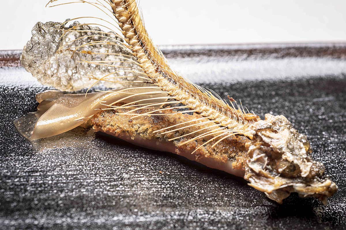 Coregone in “carpione” Coregone in “carpione” Coregone in “carpione” Coregone in “carpione”