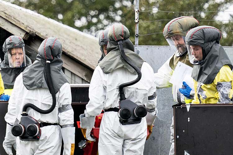 Allevamento in Danimarca. Foto Adnkronos - Coronavirus nei visoni: segnalati casi anche in Italia Allevamento in Danimarca. Foto Adnkronos - Coronavirus nei visoni: segnalati casi anche in Italia