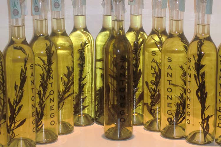 (Cucina gradese Una rapsodia di sapori)