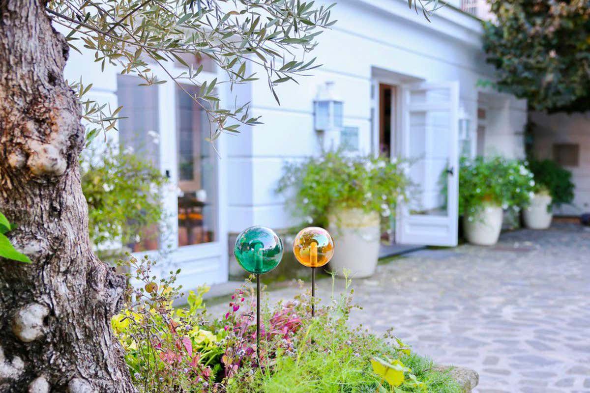 Don Alfonso 1890, il Matese e la rinascita del gusto: tre prodotti per salvare un territorio