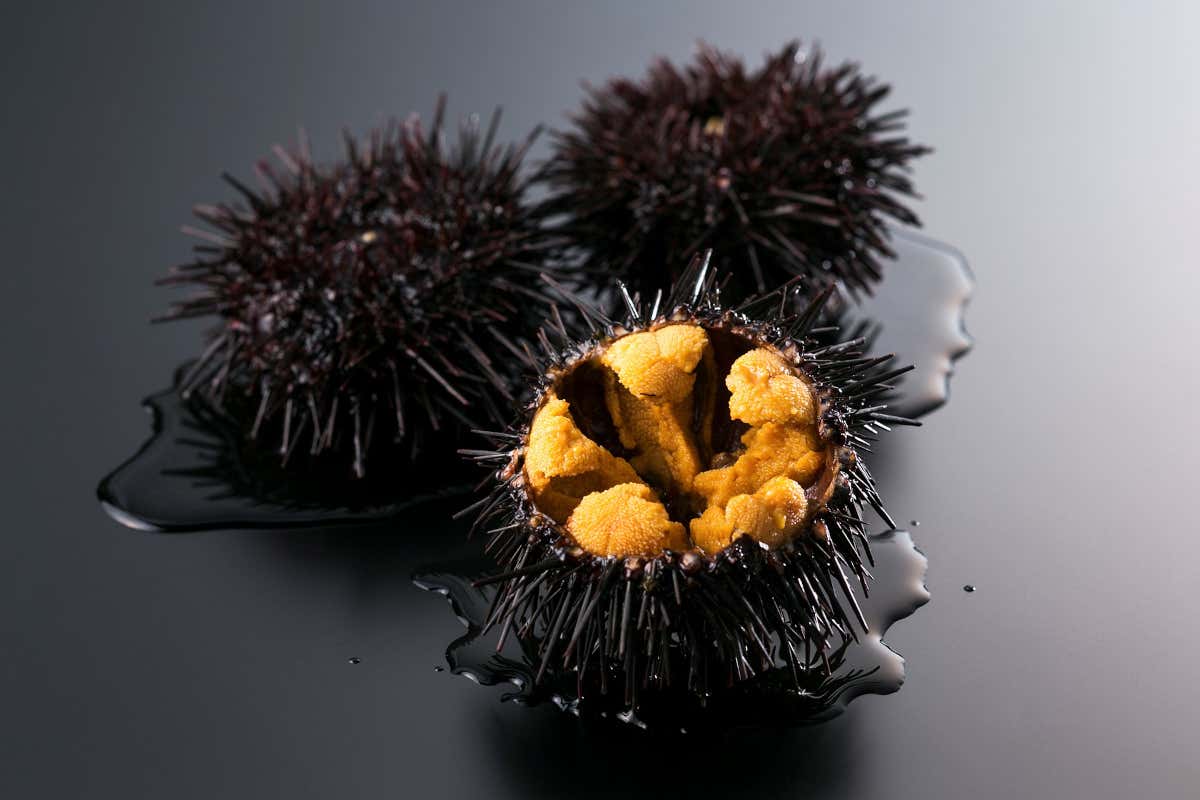 Ristorazione e mixology: l'Italia mangia e beve sempre più giapponese