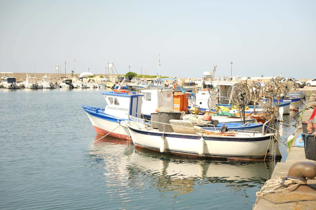 Echi di Elea: Parmenide e Zenone raccontano il Cilento tra mito e attualità Echi di Elea: Parmenide e Zenone raccontano il Cilento tra mito e attualità