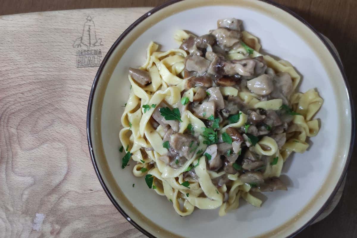 Dal caseificio alla tavola: l’agriturismo Masseria Reale racconta il Matese autentico Dal caseificio alla tavola: l’agriturismo Masseria Reale racconta il Matese autentico