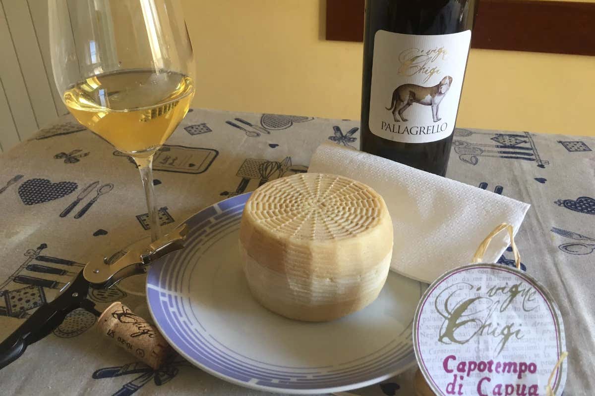 Praesentia fa tappa a Capua: viaggio tra Matres Matutae e sapori antichi Praesentia fa tappa a Capua: viaggio tra Matres Matutae e sapori antichi