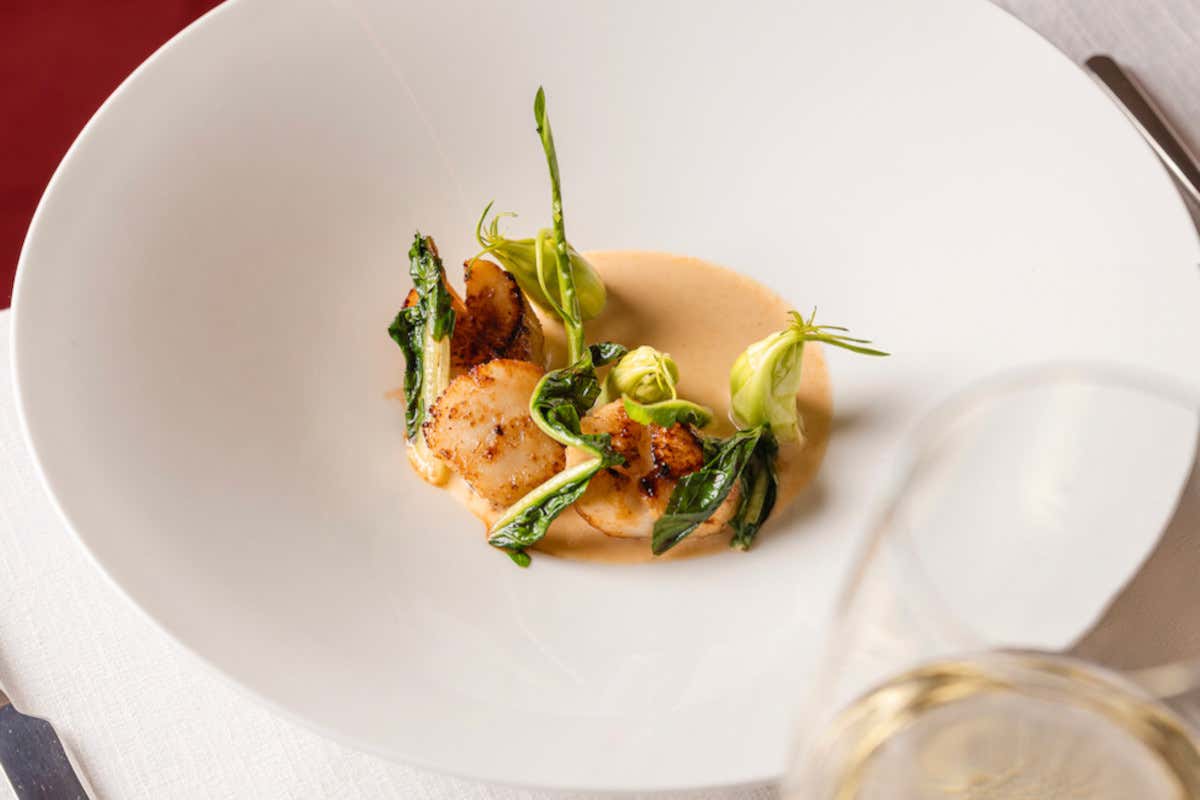 La cucina segue una filosofia radicata nel territorio e nella stagionalità Claris: il nuovo ristorante sul Lungarno Vespucci prende il posto dell’Harry’s Bar La cucina segue una filosofia radicata nel territorio e nella stagionalità Claris: il nuovo ristorante sul Lungarno Vespucci prende il posto dell’Harry’s Bar