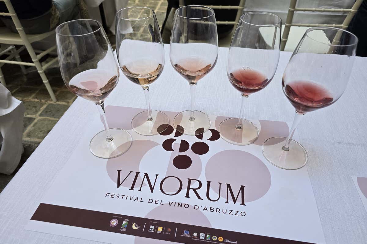 Abruzzo, tra storia e vino: il potenziale ancora da esplorare del Cerasuolo