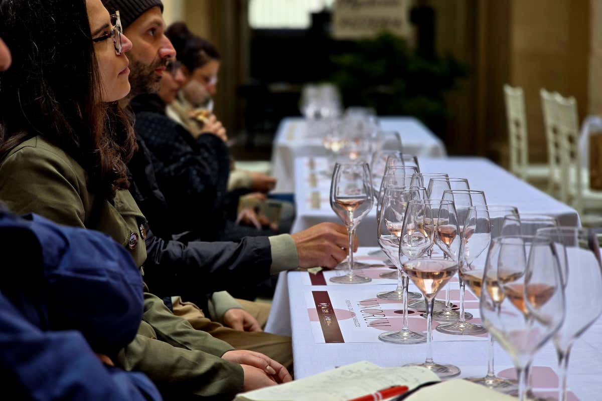 Abruzzo, tra storia e vino: il potenziale ancora da esplorare del Cerasuolo