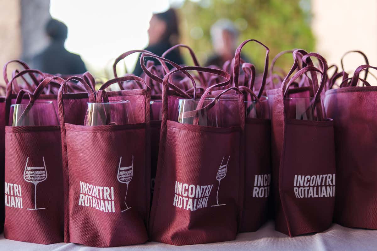 Teroldego e Syrah a confronto: la sfida gentile nella Piana Rotaliana