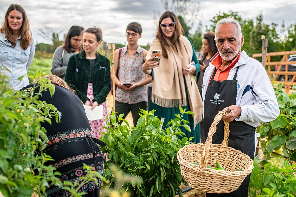 Non solo ambiente e storia. Nell'oasi di Castelfalfi fra cibo, wellness e golf