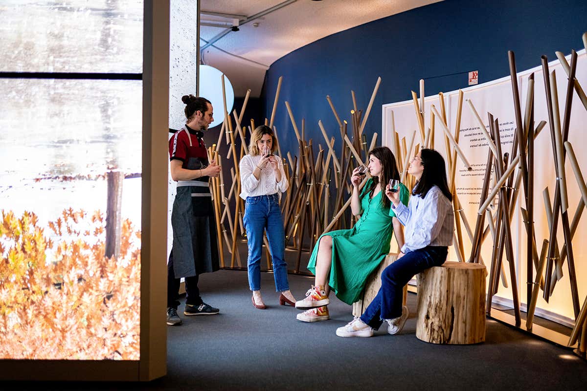 Cité du Vin, un punto di riferimento e laboratorio di idee per vitivinicoltura mondiale