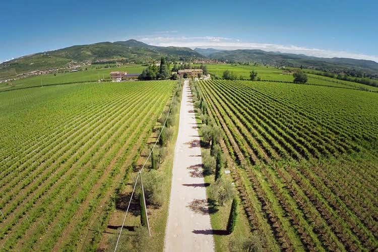 (Da Cantina Buglioni un Amarone che si offre ad abbinamenti inaspettati) (Da Cantina Buglioni un Amarone che si offre ad abbinamenti inaspettati)