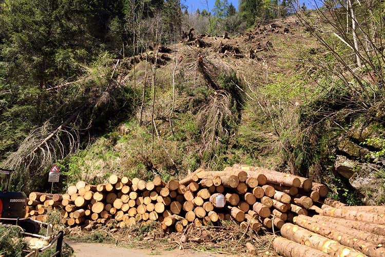 La filiera solidale in Valcamonica (Dai tanti abeti distrutti da Vaia appositi lettini a forma modulare)