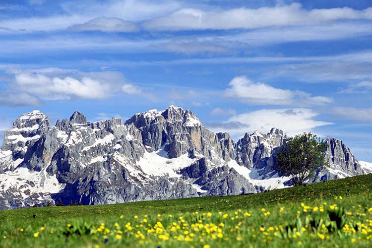 L'inconfondibile bellezza delle vette dolomitiche (Dal Garda alle Dolomiti In tavola tornano gusti locali) L'inconfondibile bellezza delle vette dolomitiche (Dal Garda alle Dolomiti In tavola tornano gusti locali)