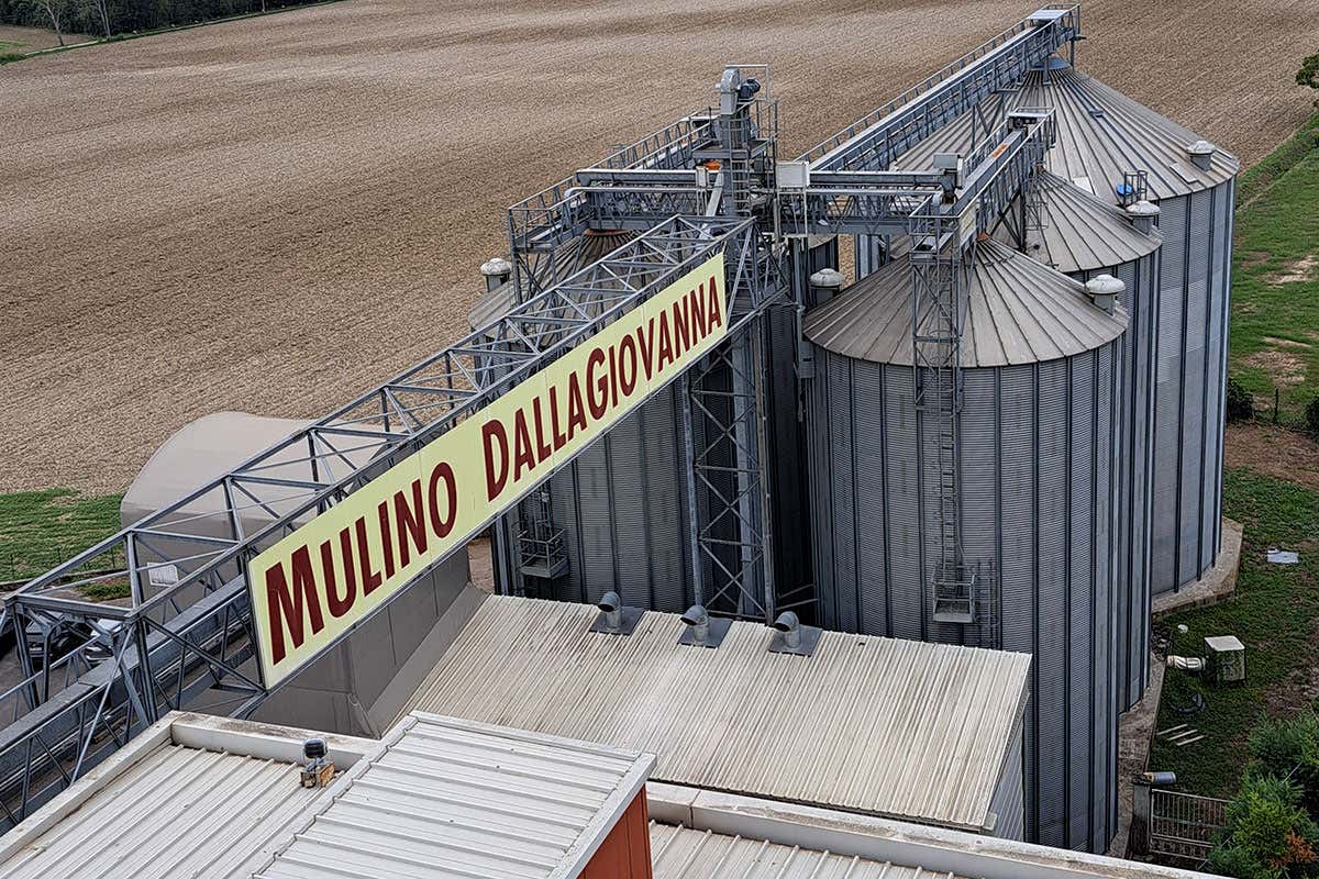 Antonio Costagliola è il Pastry Ambassador 2026-27 di Molino Dallagiovanna