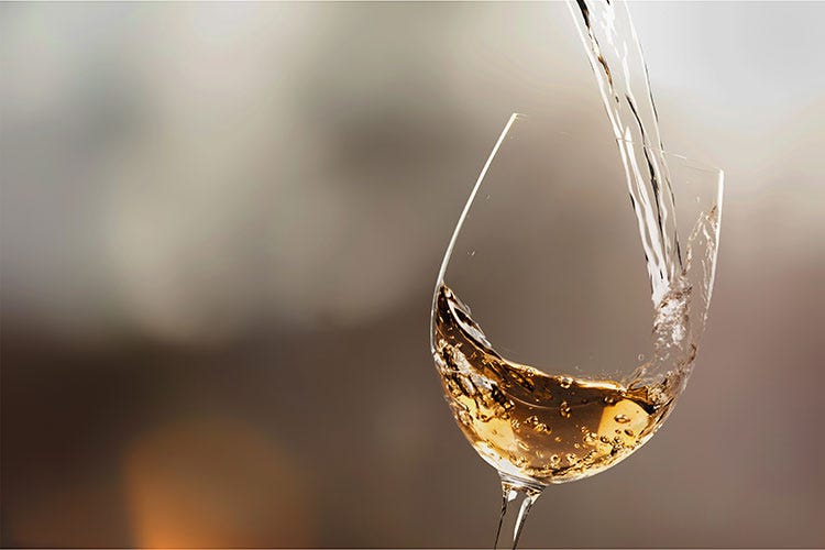 Dall’Alto Adige alla Sicilia, Chardonnay protagonista in Italia