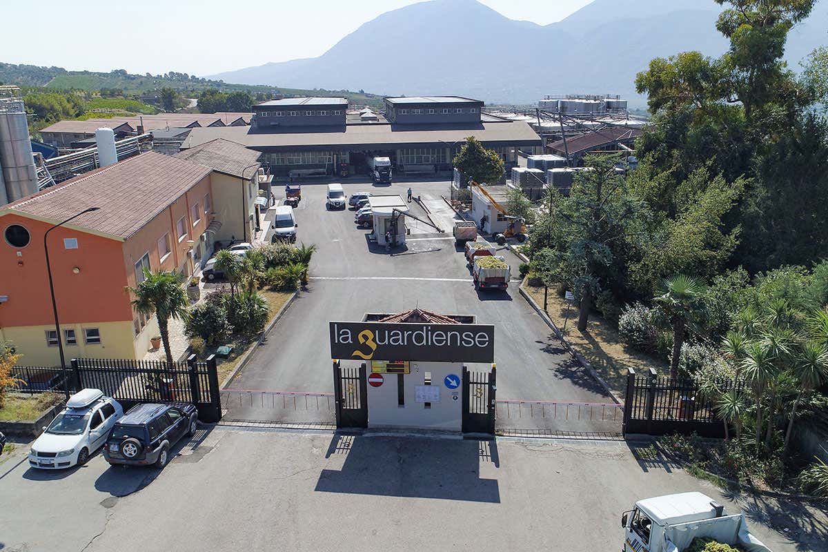 Dalla ricerca di Siad, un impianto per produrre vini senza solfiti