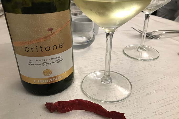 Critone Val di Neto bianco Librandi (Dallo Ionio subito in tavola A Crotone la cucina di Ercole)