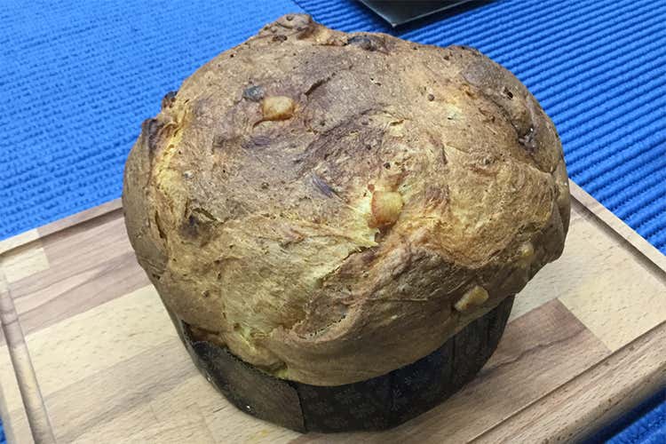 Daniel Canzian panettone Omaggio a Milano Daniel Canzian panettone Omaggio a Milano