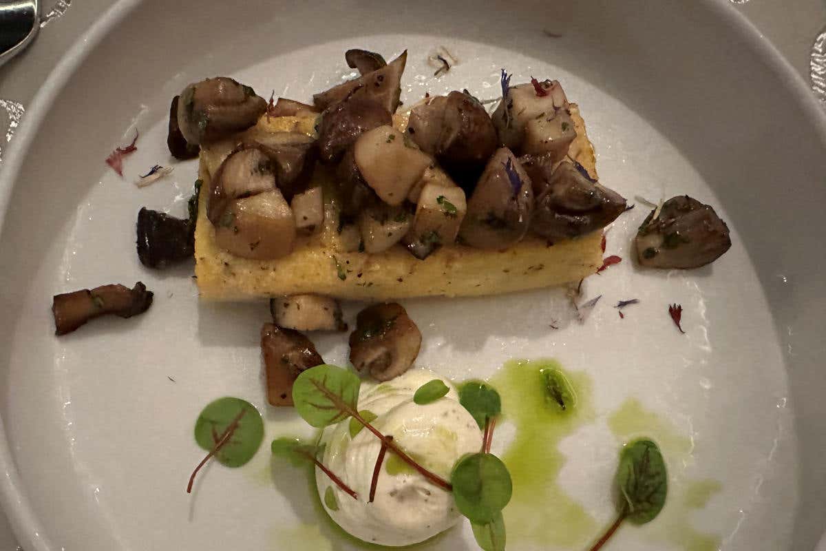 Dormire nel Parco nazionale dello Stelvio? Ecco il Das Gerstl Alpine Retreat