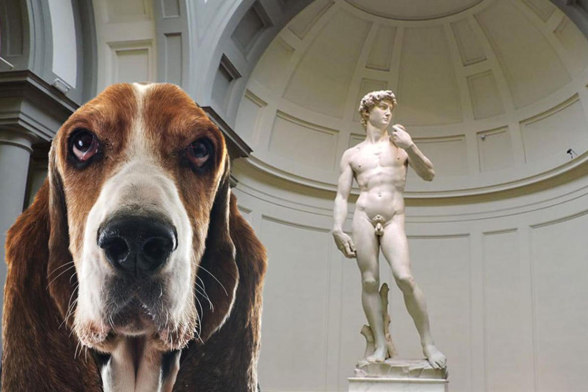 Ai musei fiorentini con il cane Con il cane al muso? Arriva i servizi di dog sitter