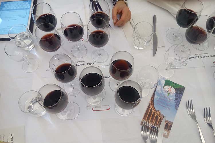 Degustazione alla cieca tra degni rivali vince il Burs&ocirc;n 2011 Tenuta Uccellina