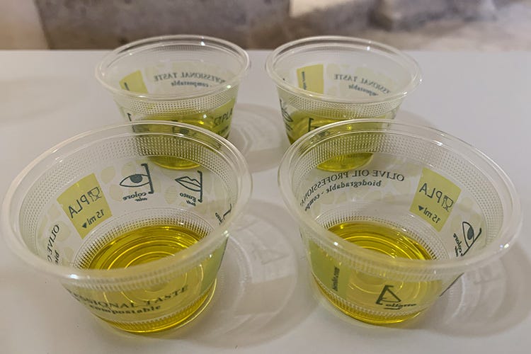 Monocultivar I&P in degustazione Olio extravergine di oliva Il piacere al centro dell’Etruria