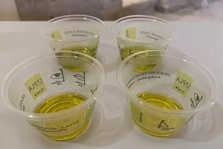 Monocultivar I&amp;P in degustazione Olio extravergine di oliva Il piacere al centro dell&rsquo;Etruria