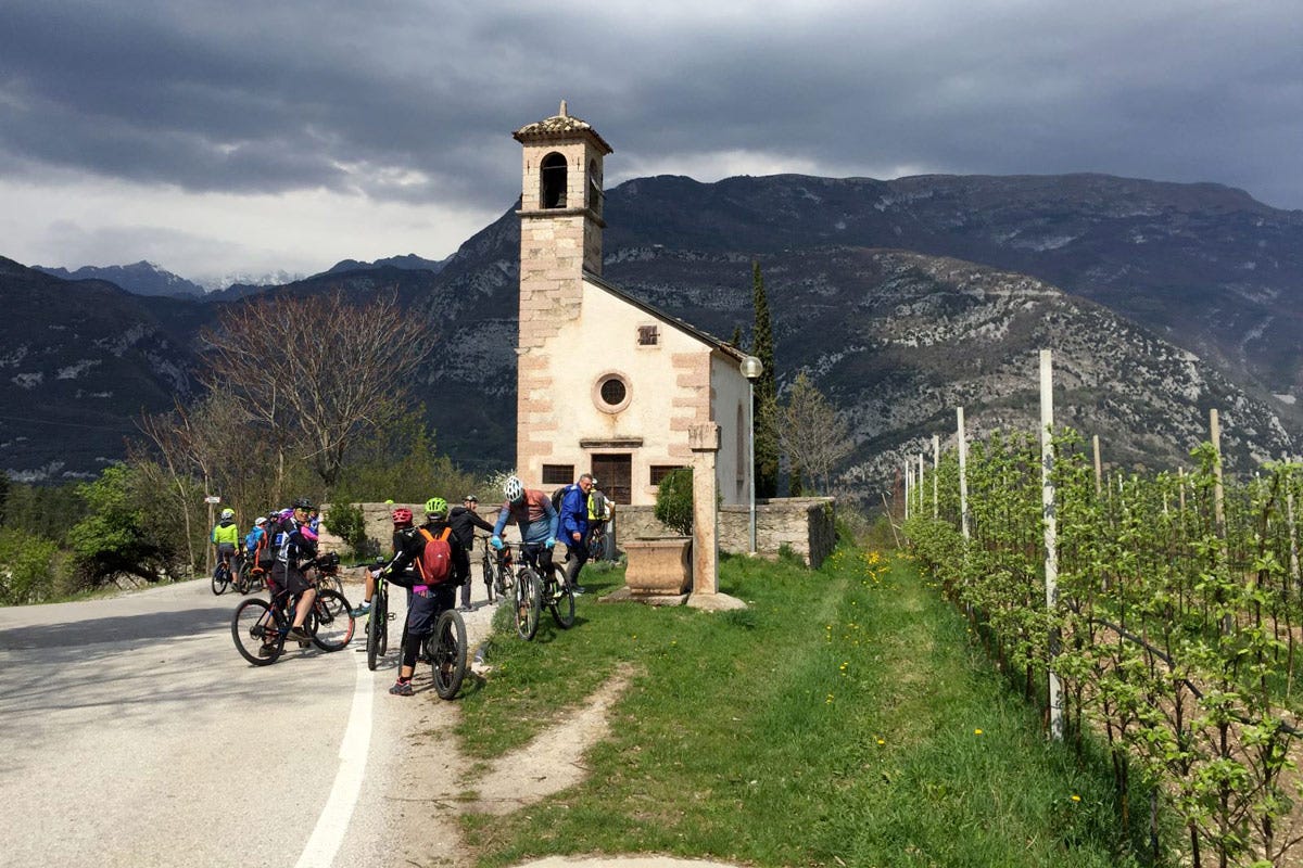Trekking tra i vigneti della Nosiola (Photo Credit: M.Facci) Nosiola e Vino Santo protagonisti della primavera in Valle dei Laghi