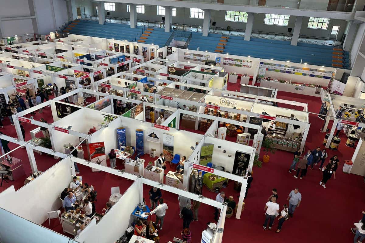 Dalla fiera DeGusto le “strategie” per promuovere meglio i prodotti di Calabria Dalla fiera DeGusto le “strategie” per promuovere meglio i prodotti di Calabria