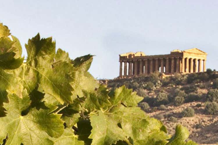 Delicio 2016 di Cva Canicatt&igrave; Un rosato minerale ed equilibrato