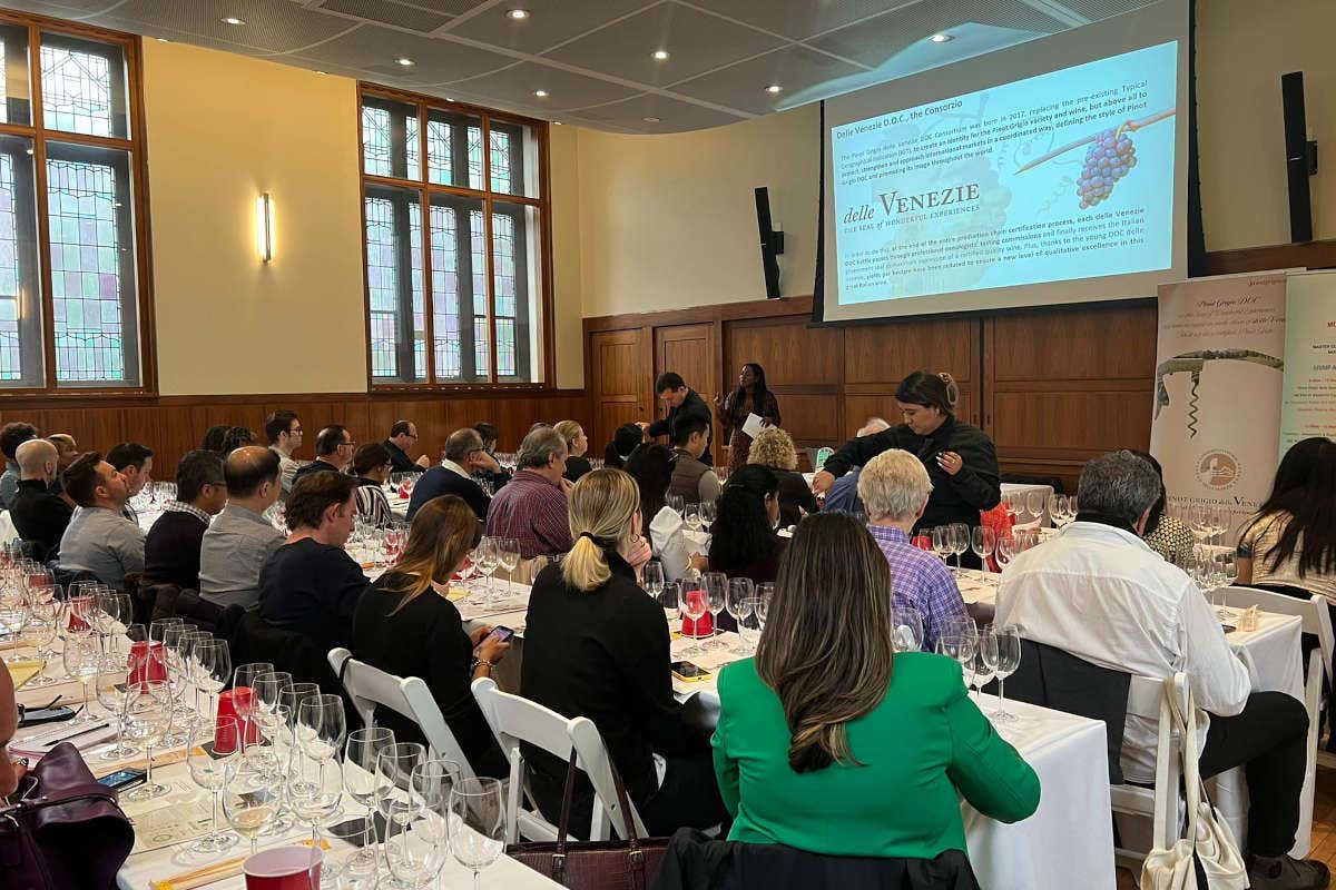 Pinot Grigio Doc delle Venezie punta sui mercati internazionali con attività di divulgazione mirate Pinot Grigio Doc delle Venezie punta sui mercati internazionali con attività di divulgazione mirate