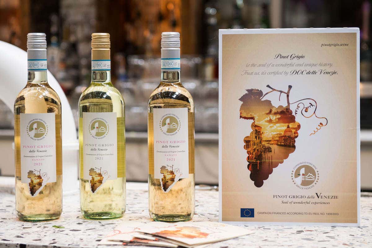 Pinot Grigio Doc delle Venezie punta sui mercati internazionali con attività di divulgazione mirate Pinot Grigio Doc delle Venezie punta sui mercati internazionali con attività di divulgazione mirate