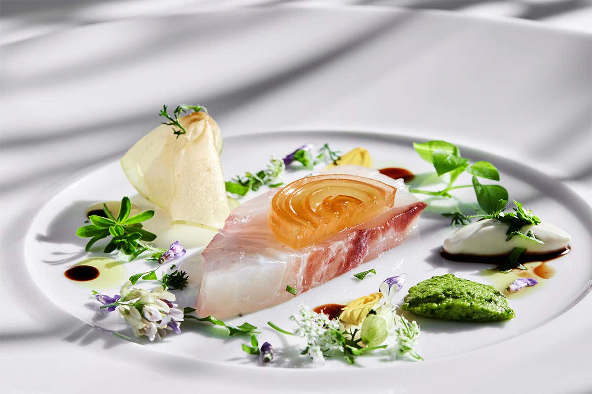 Dentice del mar Ligure al finocchietto con noci del Bleggio, mele selvatiche e colatura di alici di Cetara riserva 2017 Dentice al finocchietto con noci del Bleggio, mele selvatiche e colatura di alici Dentice del mar Ligure al finocchietto con noci del Bleggio, mele selvatiche e colatura di alici di Cetara riserva 2017 Dentice al finocchietto con noci del Bleggio, mele selvatiche e colatura di alici