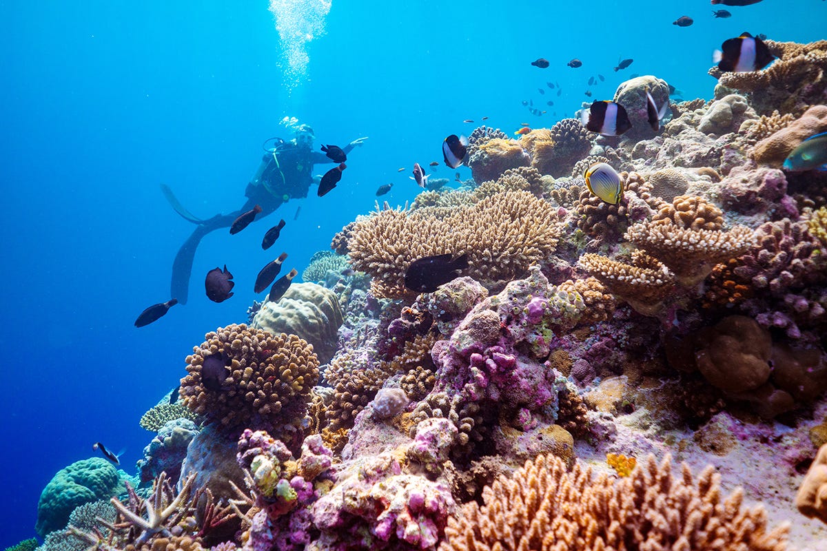 Snorkeling per tutti i gusti Il lato italiano delle Maldive: benvenuti Baglioni Resot