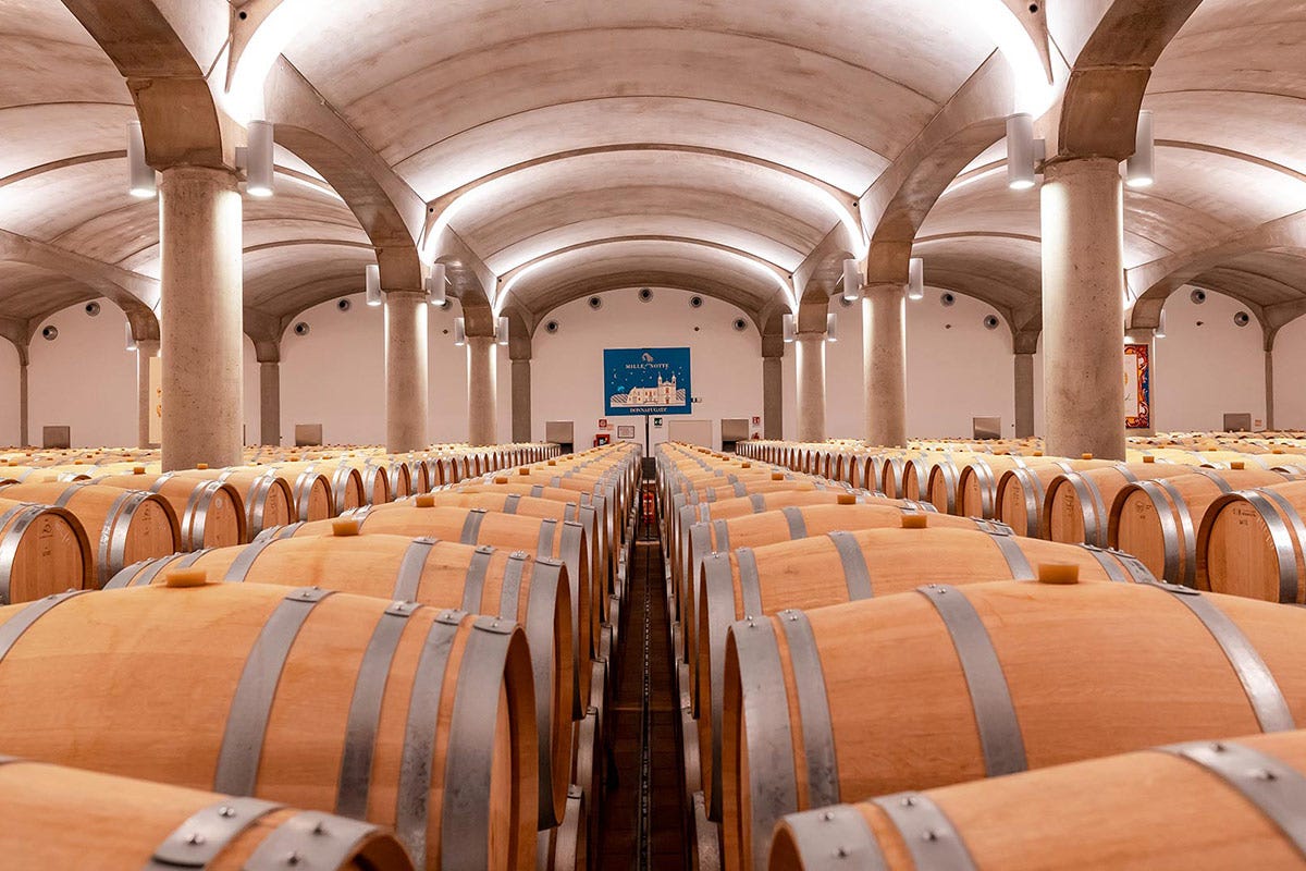 Turismo del vino: l'Italia al primo posto. Seguono Francia e Spagna