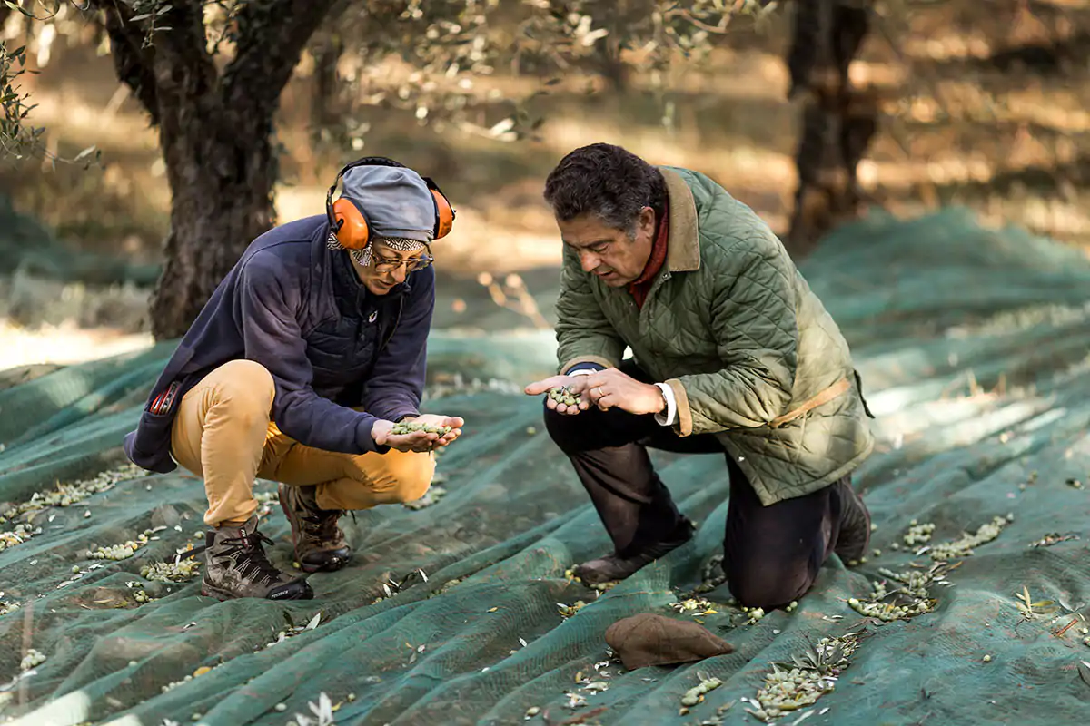 Duccio Corsini con l'agronoma Laura Lenzi Principe Corsini punta su sostenibilit&agrave; e innovazione