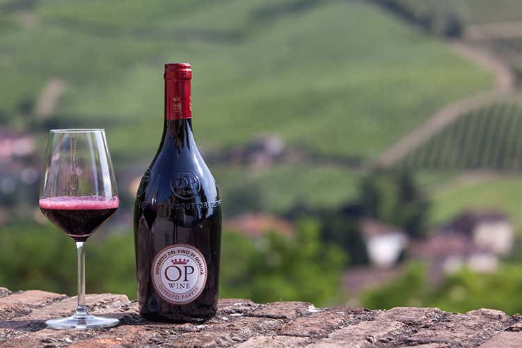 Tante le aziende che prenderanno parte alla quattro giorni (Due weekend con la Bonarda Visite e degustazioni nelle cantine) Tante le aziende che prenderanno parte alla quattro giorni (Due weekend con la Bonarda Visite e degustazioni nelle cantine)