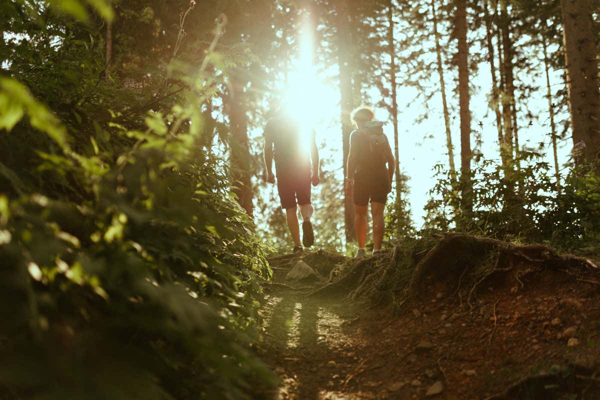 Vivere appieno la Val d'Ega in estate tra escursioni, bici e gastronomia