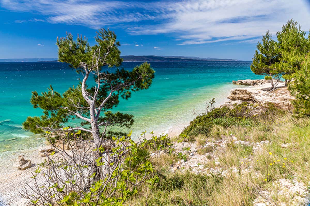 Spiaggia di Makarska (Riviera di Makarska)