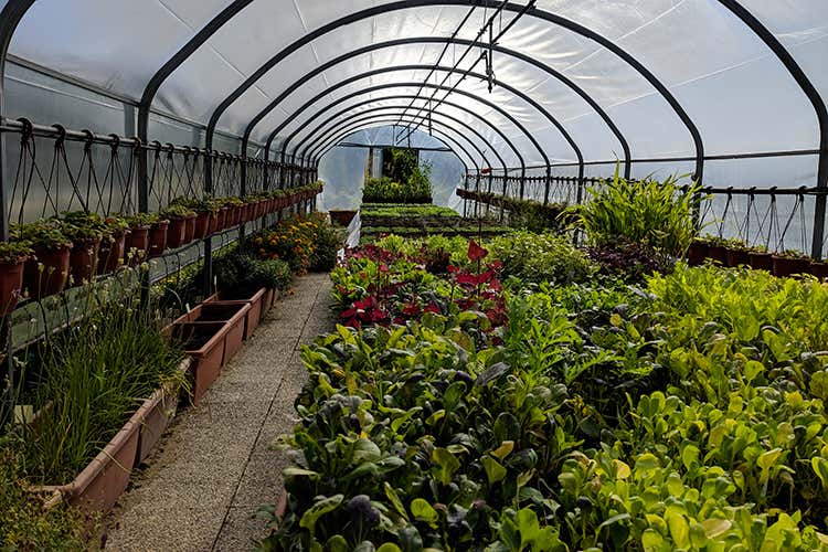 La serra de La Madernassa (Ecco perché Mammoliti ha meritato la seconda stella)