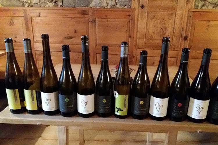 (Eisacktalwein, i vignaioli della Val d’Isarco uniti per promuovere vino e territorio) (Eisacktalwein, i vignaioli della Val d’Isarco uniti per promuovere vino e territorio)